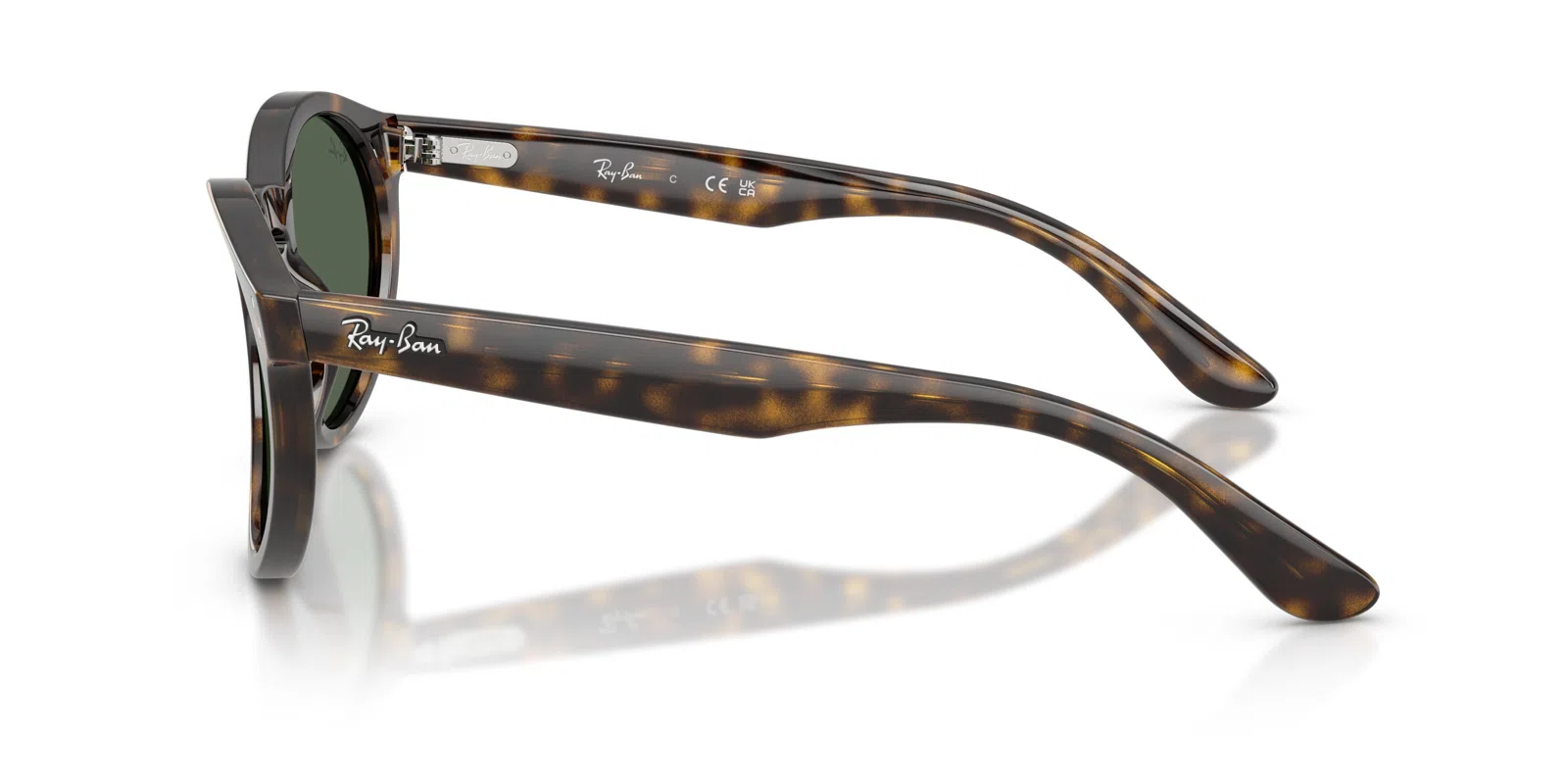 Ray-Ban R0505S Sunglasses - view 38